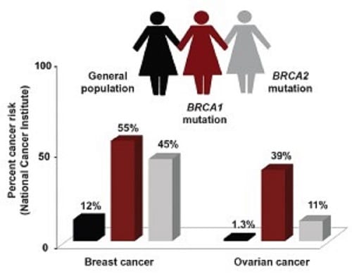 Risks of BRCA 1 and BRCA 2 mutation - India!