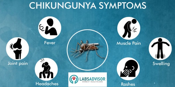 Symptoms of chikungunya.