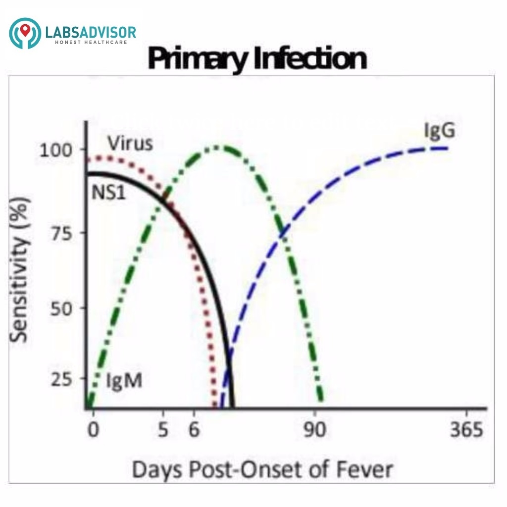 primary-dengue-infection