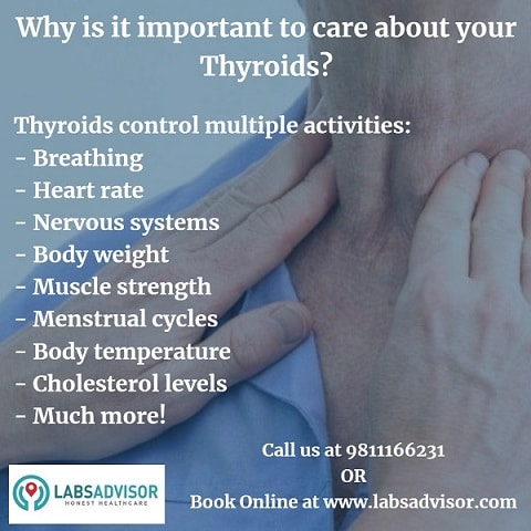 Importance of Thyroid Gland - India!