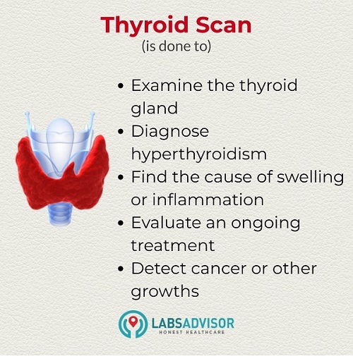 Thyroid Scan Uses - India!