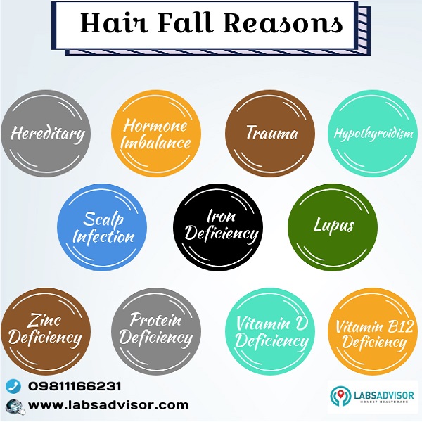 Hair Fall Blood test helps to determine the reasons for the excessive hair fall.