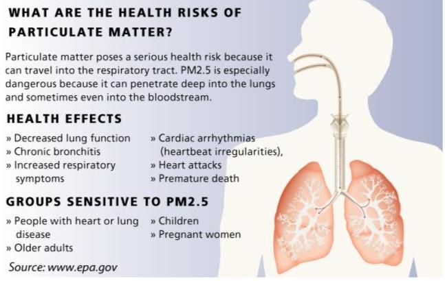 Health Effect of Pollution