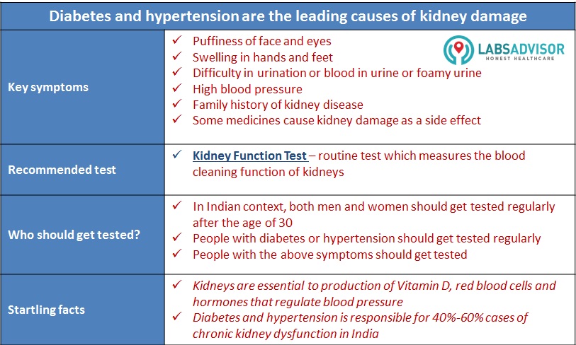 Important functions of Kidney in the human body.