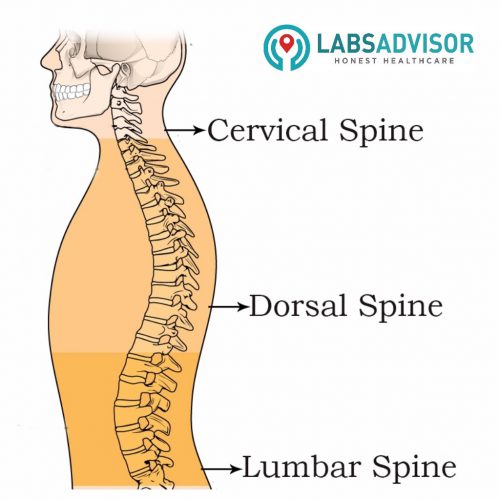 65% Off on MRI Spine Cost in Bangalore | From ₹2500 - LabsAdvisor.com