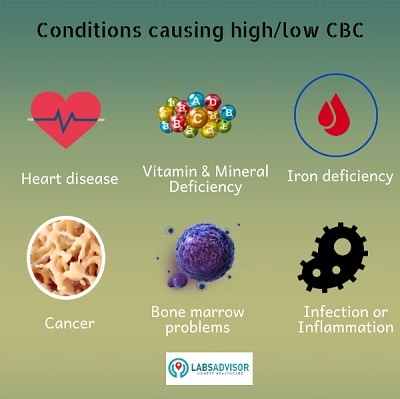 This image describes the causes of high and low complete blood count.