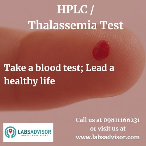 Know more about the HPLC / Thalassemia Test Cost in India by calling us at +918061970525