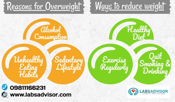 Book your Obesity Blood Test now to know the causes of overweight through LabsAdvisor.