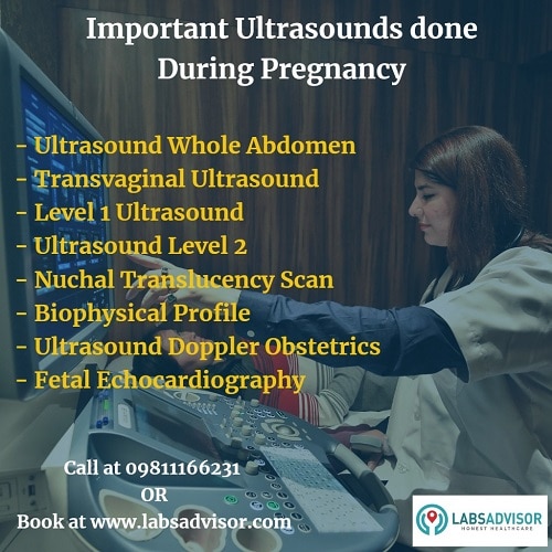 Important Ultrasound scans done during pregnancy
