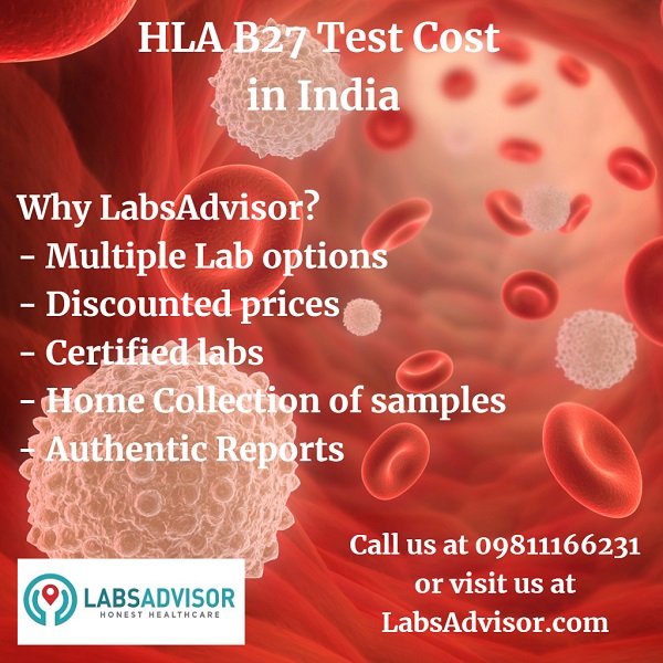 Lowest HLA B27 Test Cost in Delhi, Gurgaon, Bangalore, Mumbai, Chennai, Hyderabad, etc.