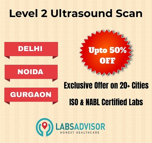 Level 2 Ultrasound Cost in Delhi, Gurgaon, Noida and Other Cities of India!