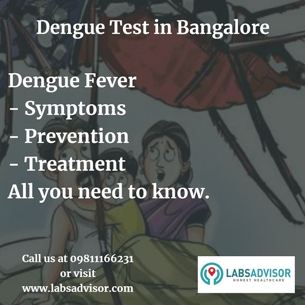 Risks of having Dengue.