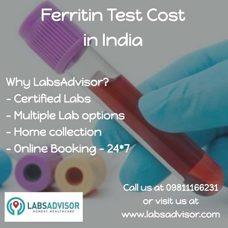Serum Ferritin Test Price in India!