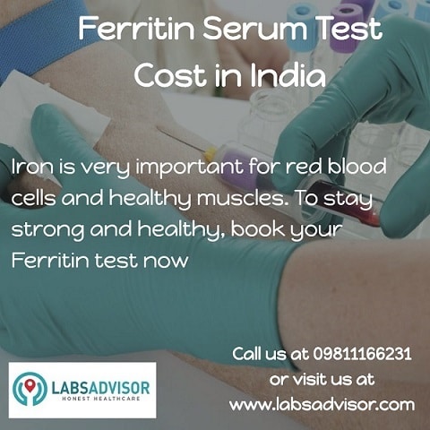 Know the importance of Iron in your body and book your Ferritin test with LabsAdvisor.