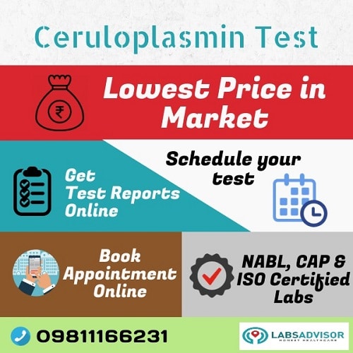 Lowest Ceruloplasmin Test Cost in Delhi, Gurgaon, Bangalore, Mumbai, Chennai, Hyderabad, etc through LabsAdvisor.