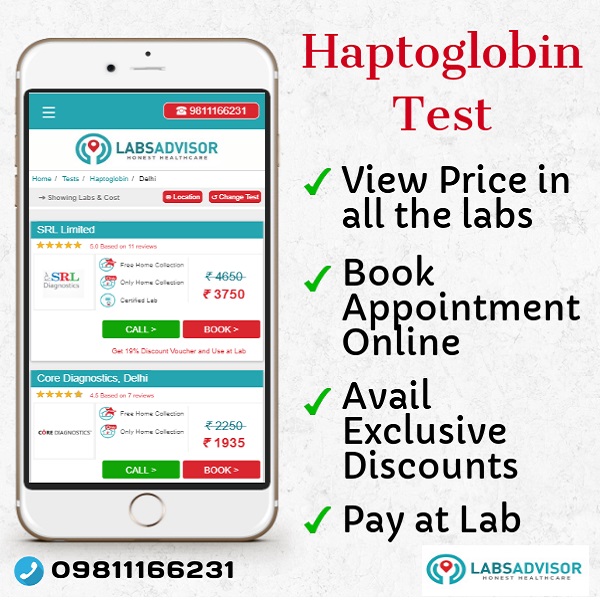 Lowest Haptoglobin Test Cost in Delhi, Gurgaon, Bangalore, Mumbai, Chennai, Hyderabad, etc.